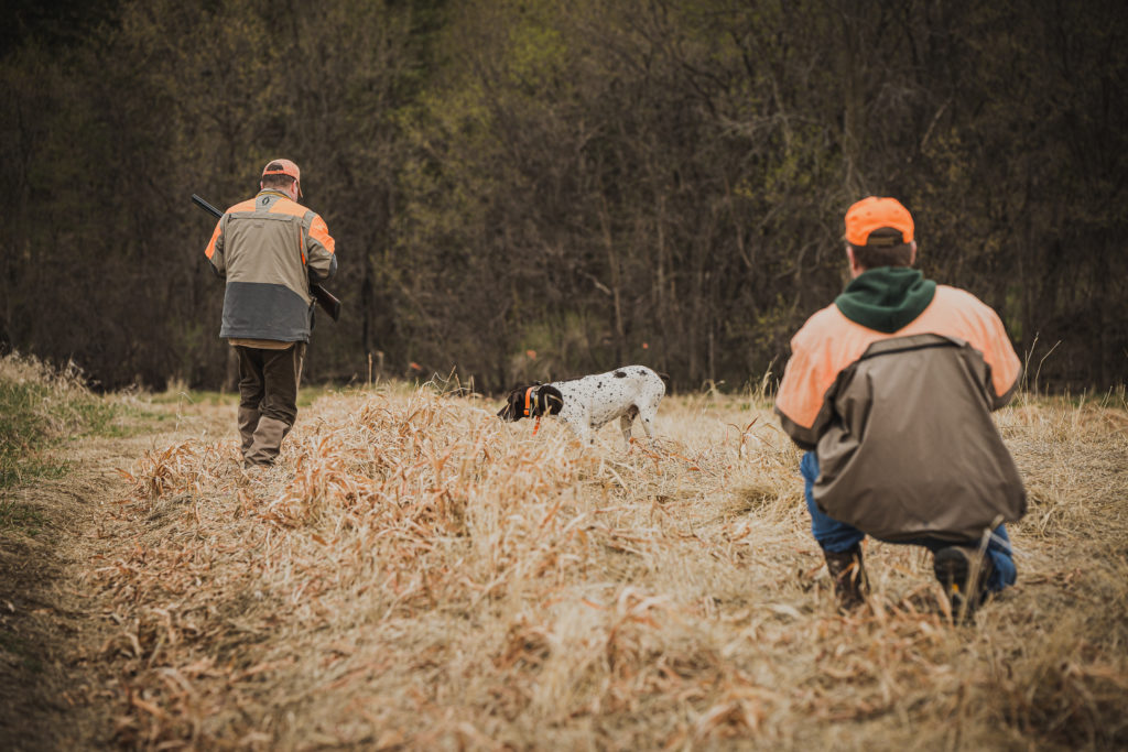 two hunters in a field with their hunting dog